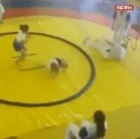 Две победы этой девахе!