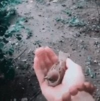 Просто гифки, всякие и&nbsp;разные