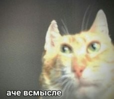 Ваще без палева