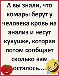 В штате Массачусетс запретили выходить из дома после захода солнца