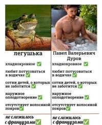 Сейчас в сетях главная тема.
Ну и я оставлю просто это здесь...