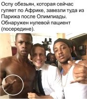 Политический мониторинг (428)