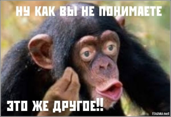 Политический мониторинг (428)