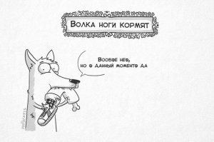 Реальный рацион волка в дикой природе