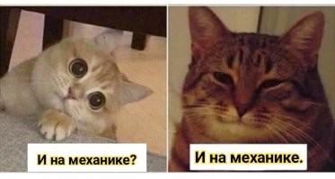 Накидка из солнечных батарей способна за день добавить заряда на 50 км пробега