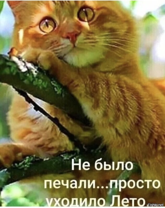 С добрым утром