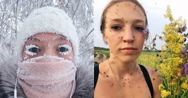 Зима и лето