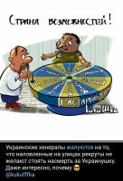 Сейчас, у какляцких хГенералов и всех прочих откормленных секачей из тцк, и гундосящих с экранов ТВ нацистов, есть реальный шанс отправиться на  линию боевого соприкосновения и показать личному составу своим примером, как нужно стоять насмерть за украинушку