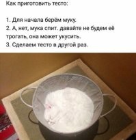 Пушистый мастер маскировки
