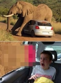 Намешалось