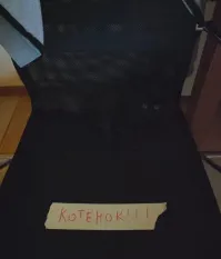 Пушистый мастер маскировки