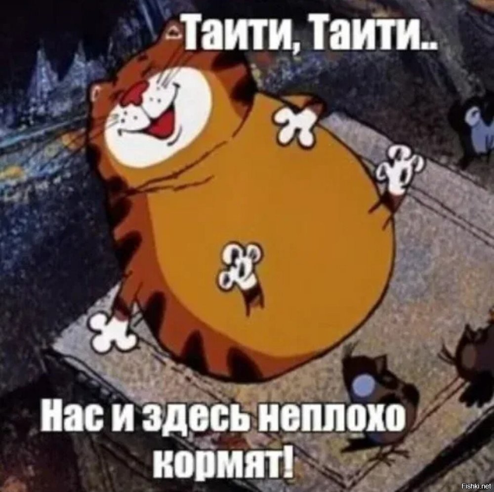 Солянка от 27.08.2024