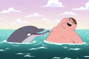 Дельфин-сексоголик преследует купальщиков в поисках любви