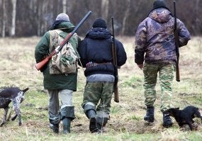 На счет зимы и морозов я бы не был бы столь категоричным