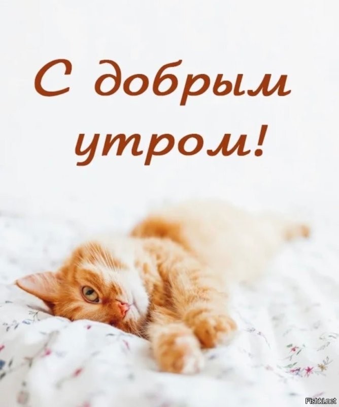 С добрым утром