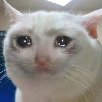 Особая клетка для злых и нервных котиков