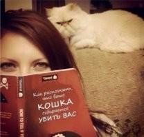 Хозяин забыл покормить кота