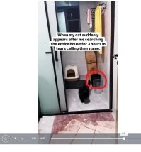 Так там ещё один прячется!