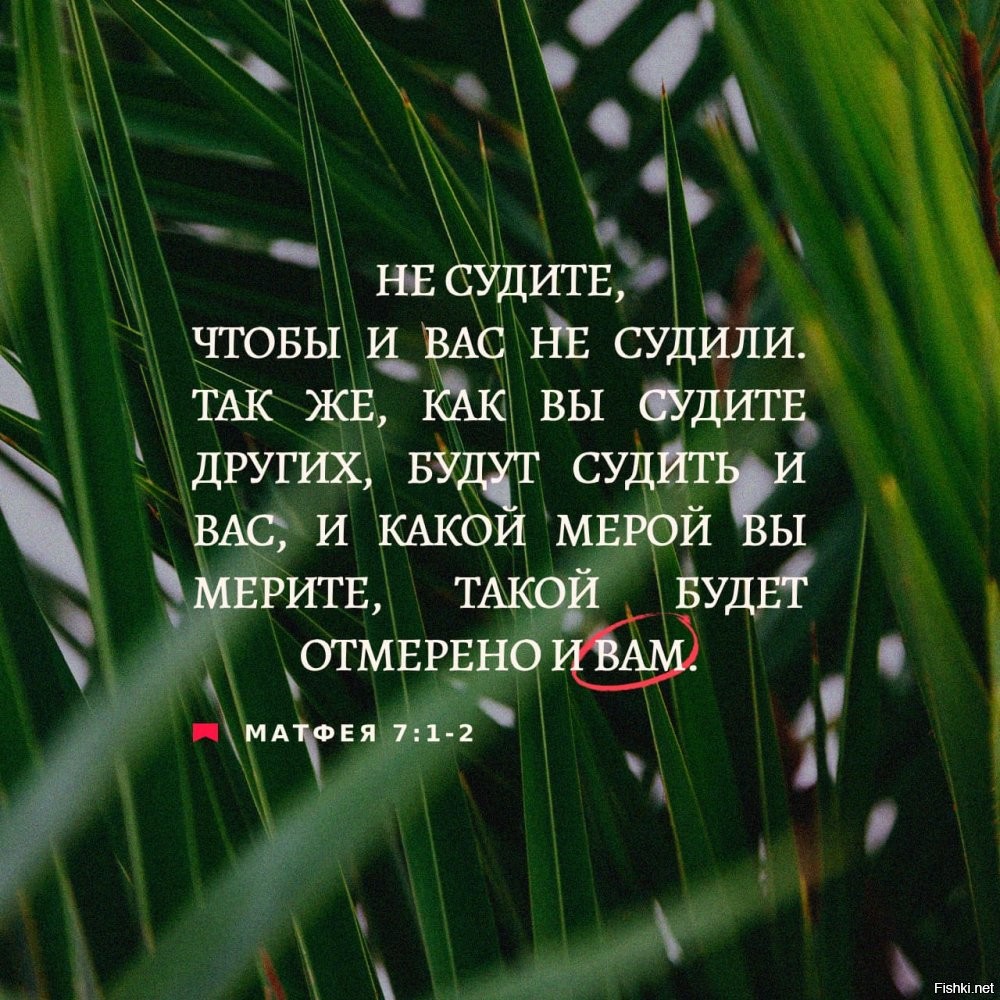 Солянка от 27.08.2024