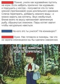 было что-то такое)))