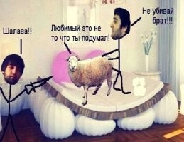 «Не знал, что сковородой бьют»