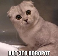 Богатые дяди вступаются за богатых дядь)))