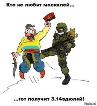 Украина на пути в НАТО.