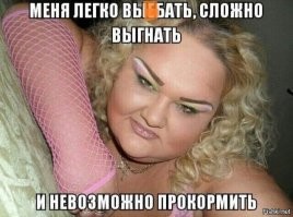 Политический мониторинг (431)