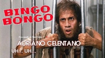 Война шимпанзе против горилл: крупный конфликт, который поменял представление о приматах