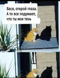 Оптическая иллюзия с чёрным котёнком