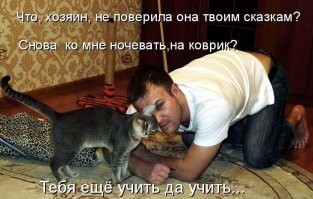 18 питомцев, у которых доброты хоть отбавляй