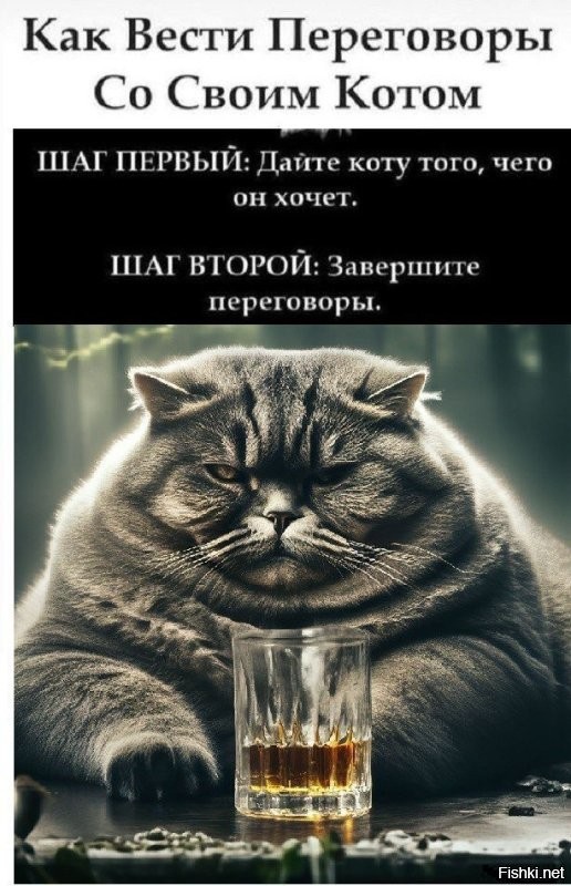 Солянка от 28.08.2024