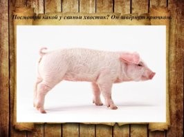 Каменная игрушка эпохи викингов поставила учёных в тупик