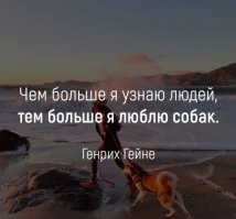 Пёс забирает хозяйку из школы