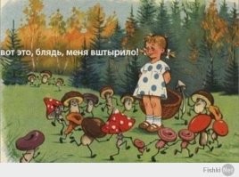 Мужчина удачно сходил за грибами