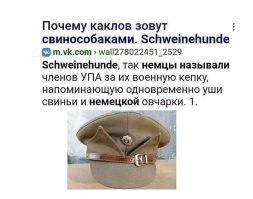 это тотемная свинособака