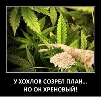Политический мониторинг (431)