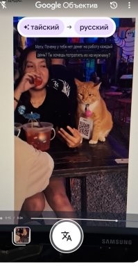 Кот, который устал работать