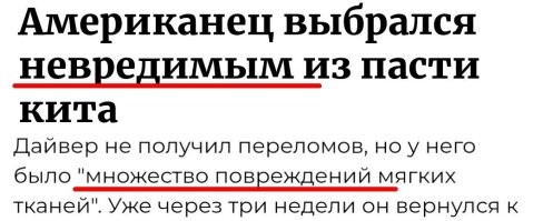 Американец выбрался невредимым из пасти кита
