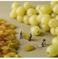 Не ищите здесь смысл. Здесь в основном маразм