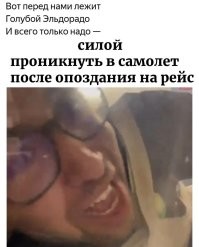 Пассажир из США пытался силой проникнуть в самолет после опоздания на рейс