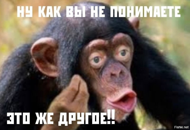 Павла Дурова освободили из-под стражи, но оставили под судебным надзором