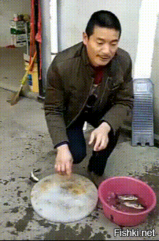 Солянка от 29.08.2024