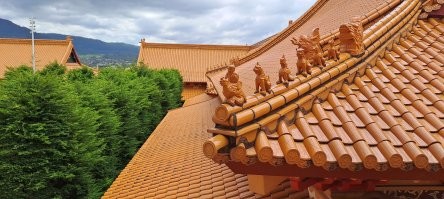 Ага. Забавная процессия. Тоже на них обращал внимание. Это кстати,  моё фото, недалеко от Wollongong в Австралии. Nan Tien temple комплекс.