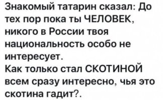 "Впечатление, что моя семья в Таджикистан переехала!": дети мигрантов толпой избили мальчика в Свердловской области