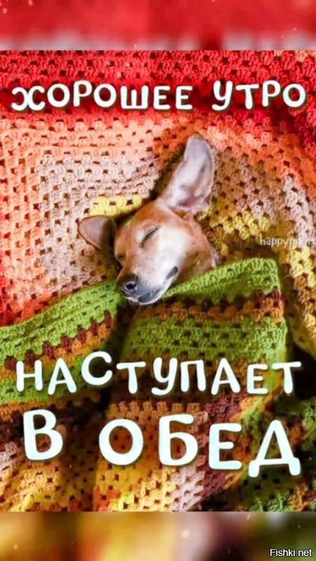 С добрым утром