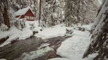 Какой смысл  от бункера?  Долго ты в таком просидишь, даже при дизельном генераторе?  Это ж сплошной геморрой., начиная от воды, заканчивая воздухом.. И если в воздухе запахло полярным пушным зверем - самый лучший способ свалить куда-нибудь в глушь, в лес и построить там (из заранее припасённых материалов) какой-нить мини дом, рядом с источником пресной воды, вроде ручья. Лес это защита от посторонних глаз, лес  это неисчерпаемые дрова, лес это источник пищи (ягоды и дичь), лес отличный фильтр воздушных масс.  И если рядом с вами нет крупных логистических развязок, городов или военных\промышленных объектов, то и шариться там никто особо не будет, и уж тем более наносить по тому району удары.  Очень важно уходить жить в лес не одному, а коллективом,  ибо выживают только коллективы.  Банально кто-то несёт вахту, кто-то спит, кто-то заготавливает провиант на зиму.  При себе очень желательно иметь человека с мед образованием, и вот пря мне помещает прихватить с собой дробовик (12GA) или мелкашку (.22 LR) с парой сотен патронов. 
И только обустроив быт и наладив коллективную работу группы, можно довольно успешно жить мини общиной, пережидая какие-то невзгоды, творящиеся в населённых пунктах.
Но,  это надо успеть среагировать на новости или обладать даром предвидения, чтоб заблаговременно до катастрофы отчалить в своё убежище.
А бункер - такое себе решение,  возможно даст вам пару дней, но потом вам всё равно придётся из него выбираться и что-то придумывать. Вот вылезли вы, а кругом всё сгорело,  местный разрушенный молоко-завод в атмосферу хлором надышал,  вокруг шарятся озлобленные и голодные люди, способные уже на всё ради выживания.. машины нет, дороги завалены остовами сгоревшего транспорта и ближе к вечеру стремительно падает температура.. даже если по вам не стреляют, выходить из зоны бедствия - тот ещё квест.