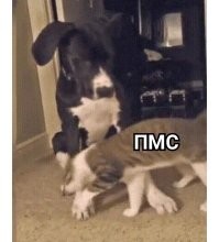 Просто гифки, всякие и&nbsp;разные