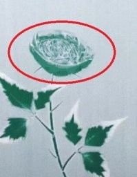 А вот цветочек смотрелся бы лучше красненький или жёлтенький.