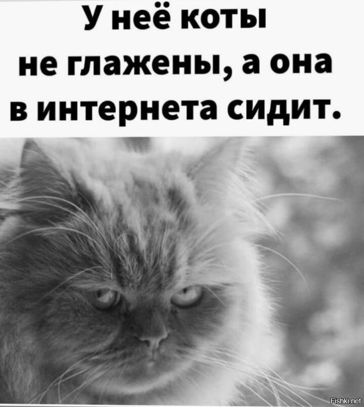 Солянка от 31.08.2024